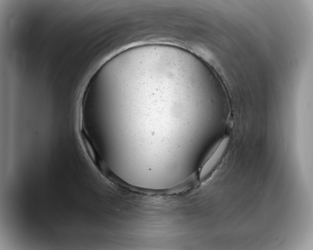 X0000088421520200706121423
