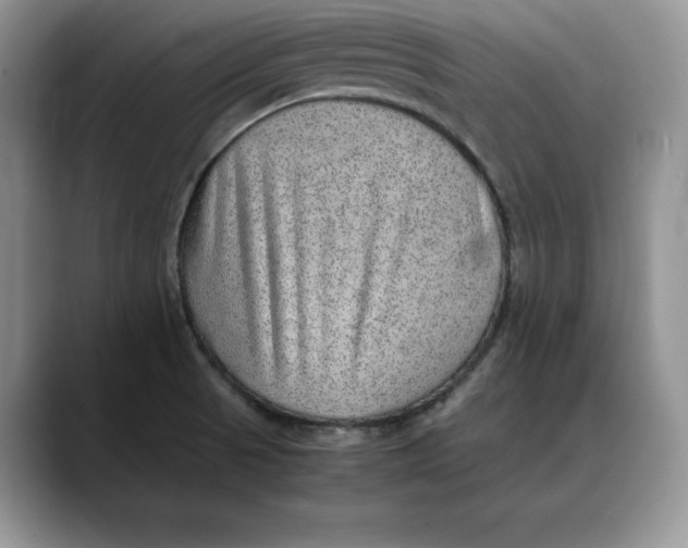 X0000088421521200706121423