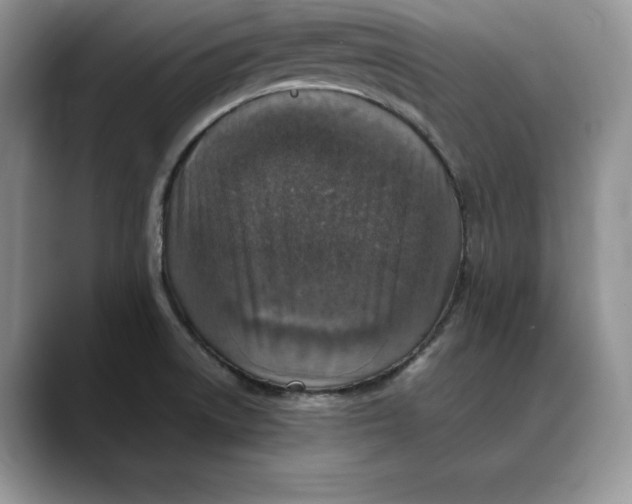 X0000088421522200706121423
