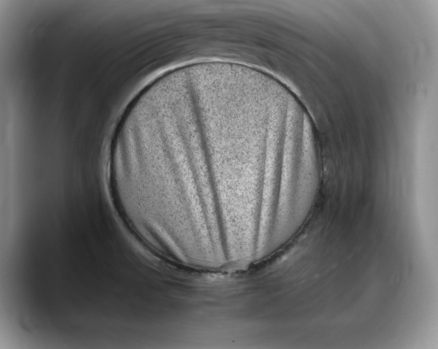 X0000088421523200706121423