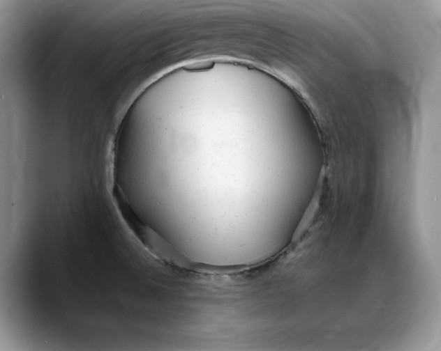 X0000088421524200706121423