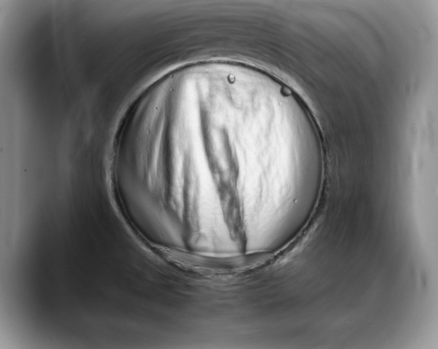 X0000088421525200706121423
