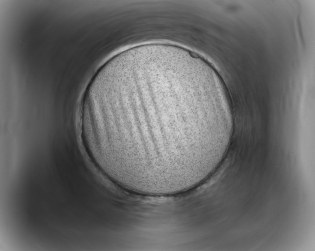 X0000088421526200706121423