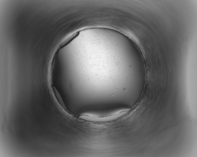 X0000088421528200706121423