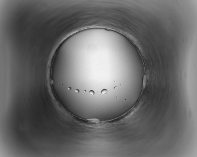 X0000088421530200706121423