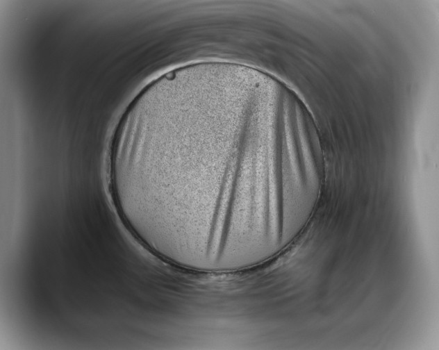 X0000088421531200706121423