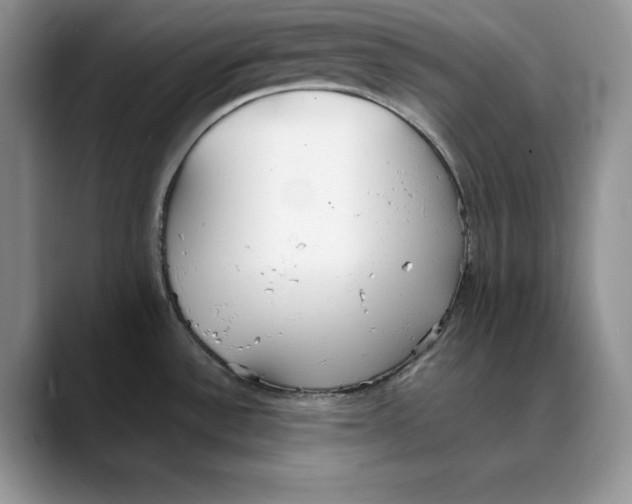 X0000088421532200706121423