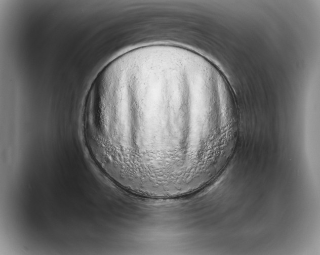 X0000088421534200706121423
