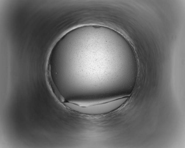 X0000088421536200706121423