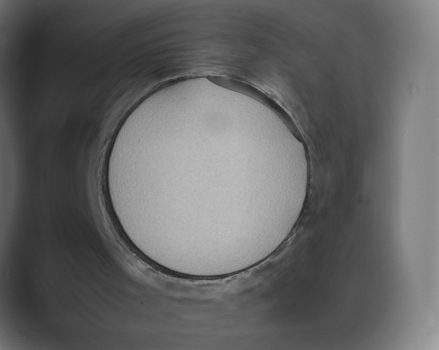 X0000088420001200706191224