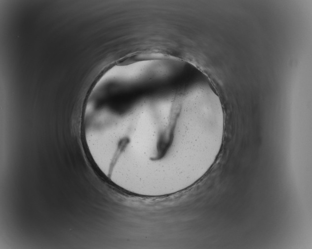 X0000088420003200706191224