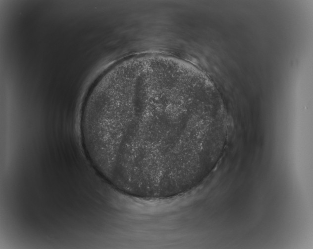 X0000088420006200706191224
