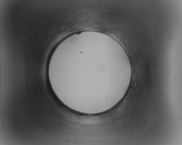 X0000088420008200706191224