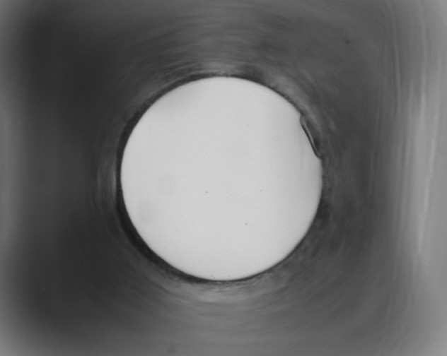 X0000088420011200706191224