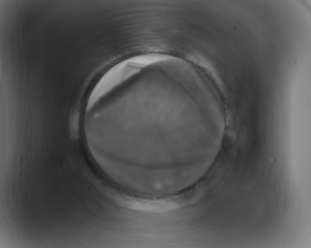 X0000088420012200706191224