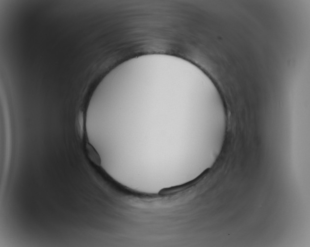 X0000088420013200706191224