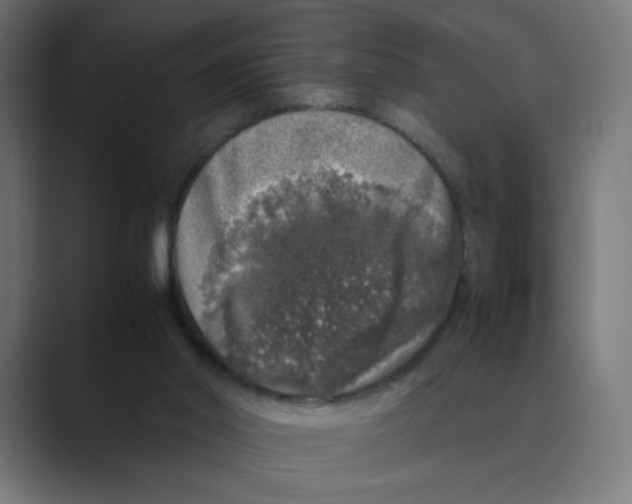 X0000088420014200706191224