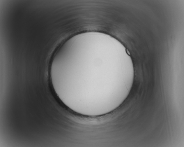 X0000088420015200706191224