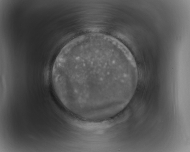 X0000088420016200706191224