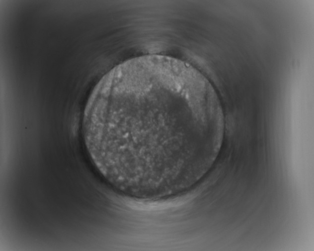 X0000088420018200706191224