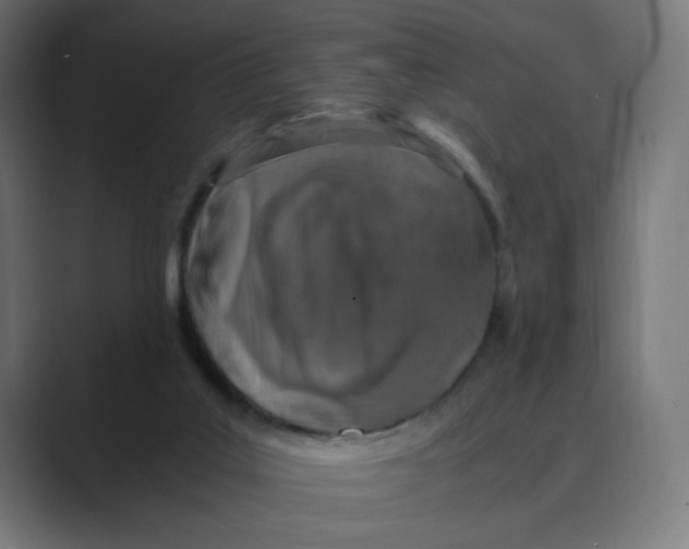 X0000088420019200706191224