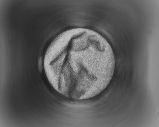 X0000088420020200706191224