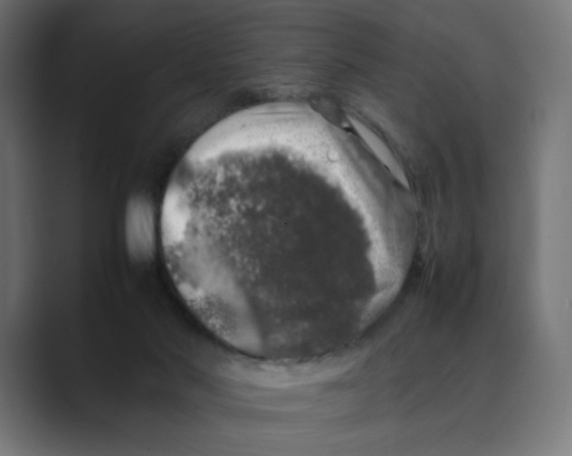 X0000088420022200706191224