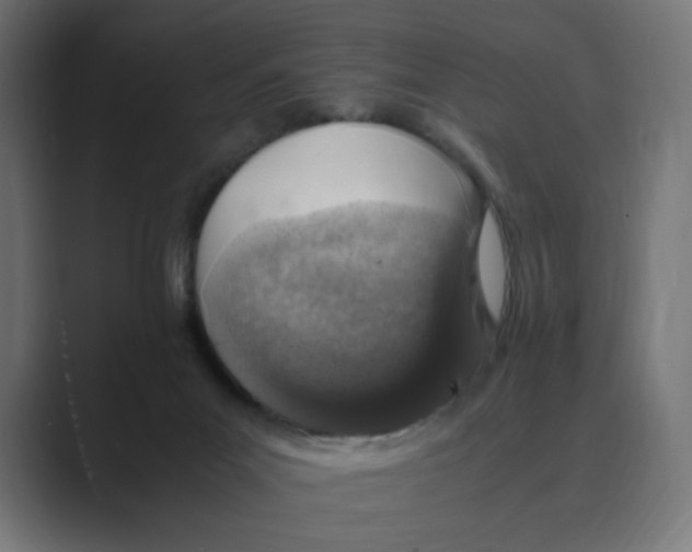 X0000088420023200706191224