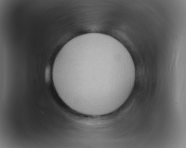 X0000088420024200706191224