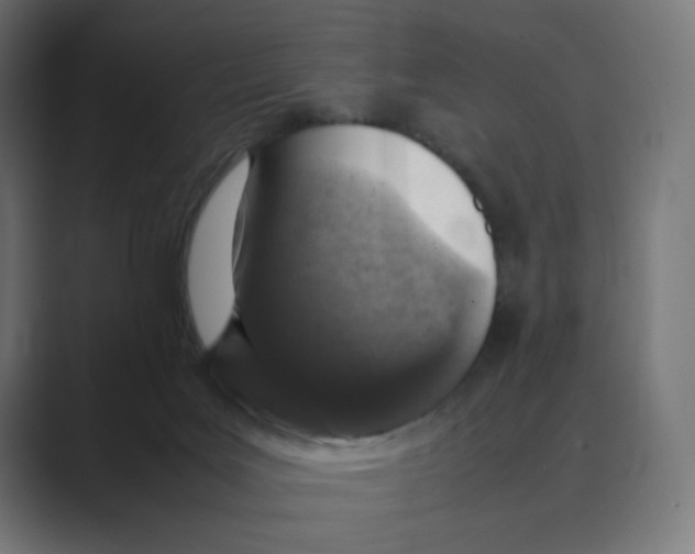 X0000088420027200706191224