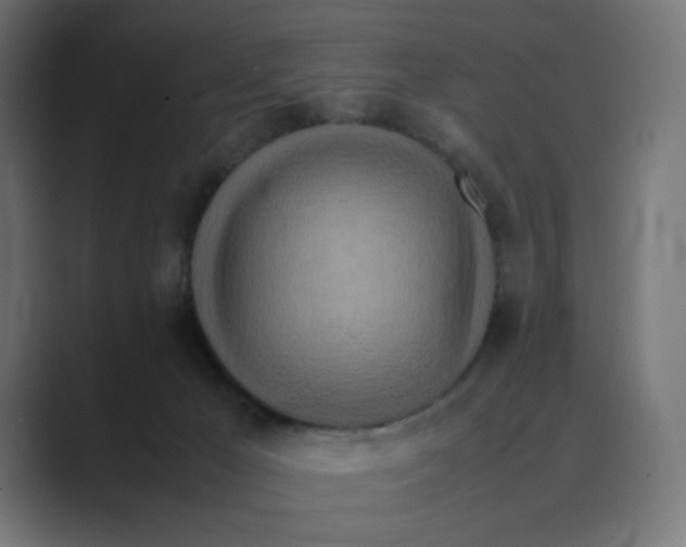 X0000088420029200706191224