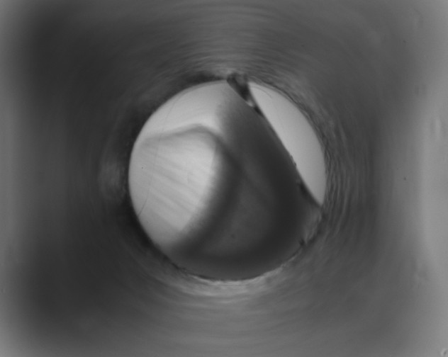 X0000088420031200706191224