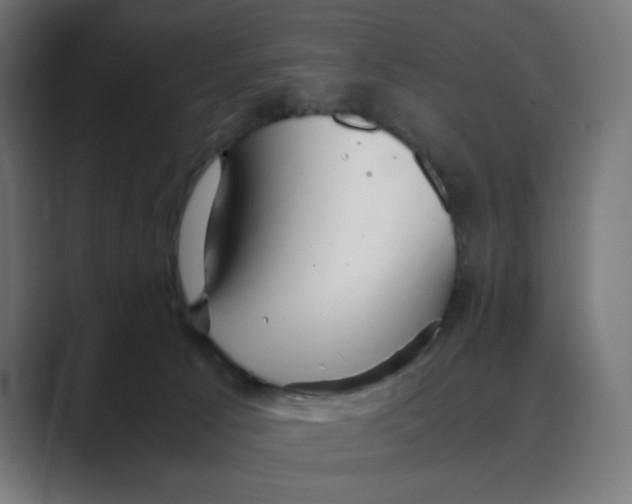 X0000088420033200706191224
