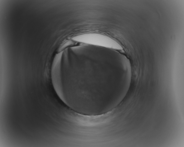 X0000088420035200706191224