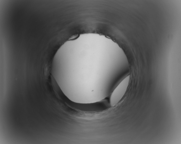 X0000088420037200706191224