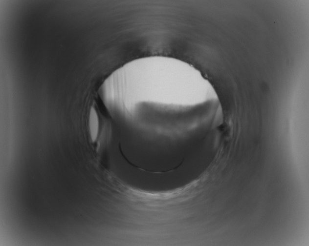X0000088420039200706191224