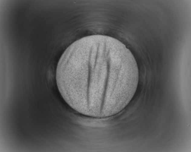X0000088420040200706191224