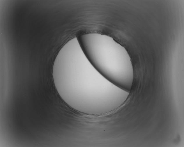 X0000088420041200706191224