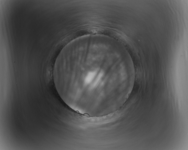 X0000088420043200706191224