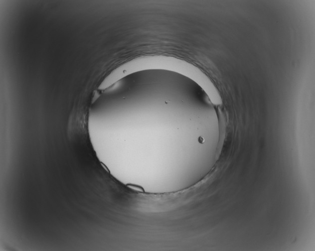 X0000088420045200706191224