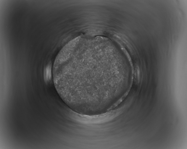 X0000088420046200706191224