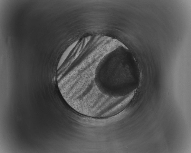 X0000088420048200706191224
