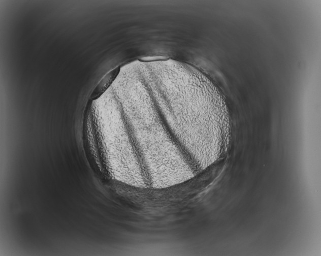 X0000088420051200706191223