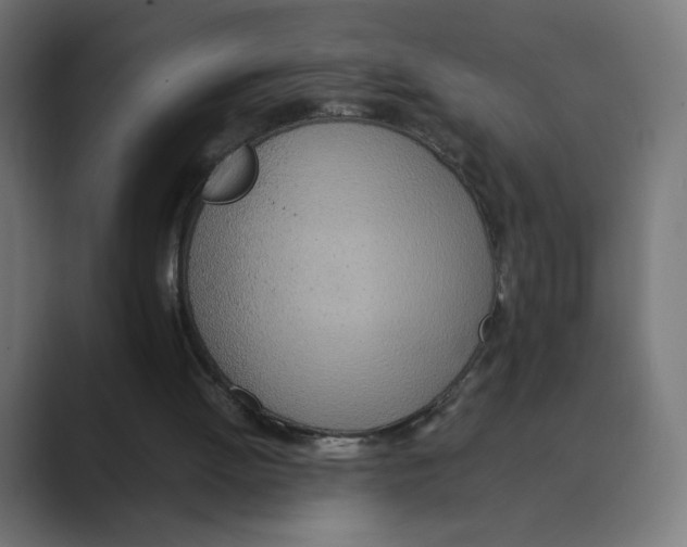X0000088420052200706191223
