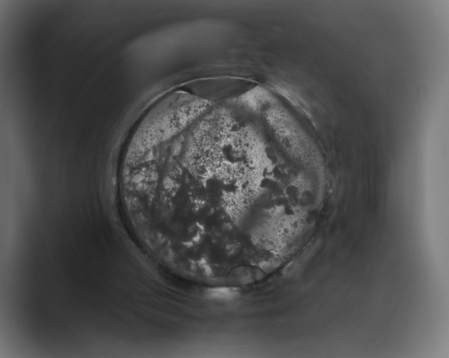 X0000088420053200706191223