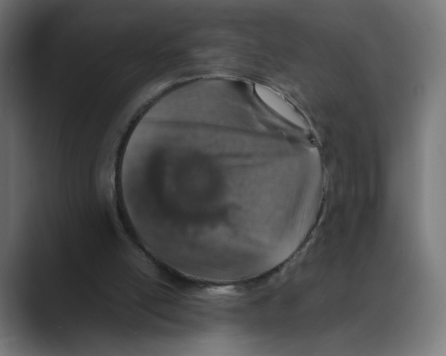 X0000088420054200706191223