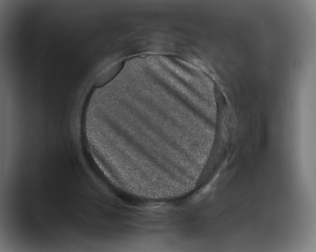 X0000088420055200706191223