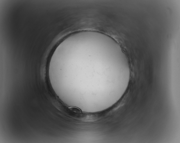 X0000088420056200706191223