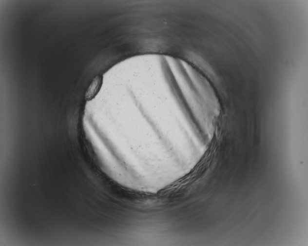 X0000088420058200706191223