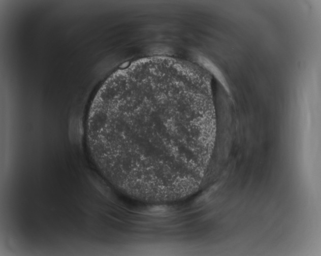 X0000088420059200706191223
